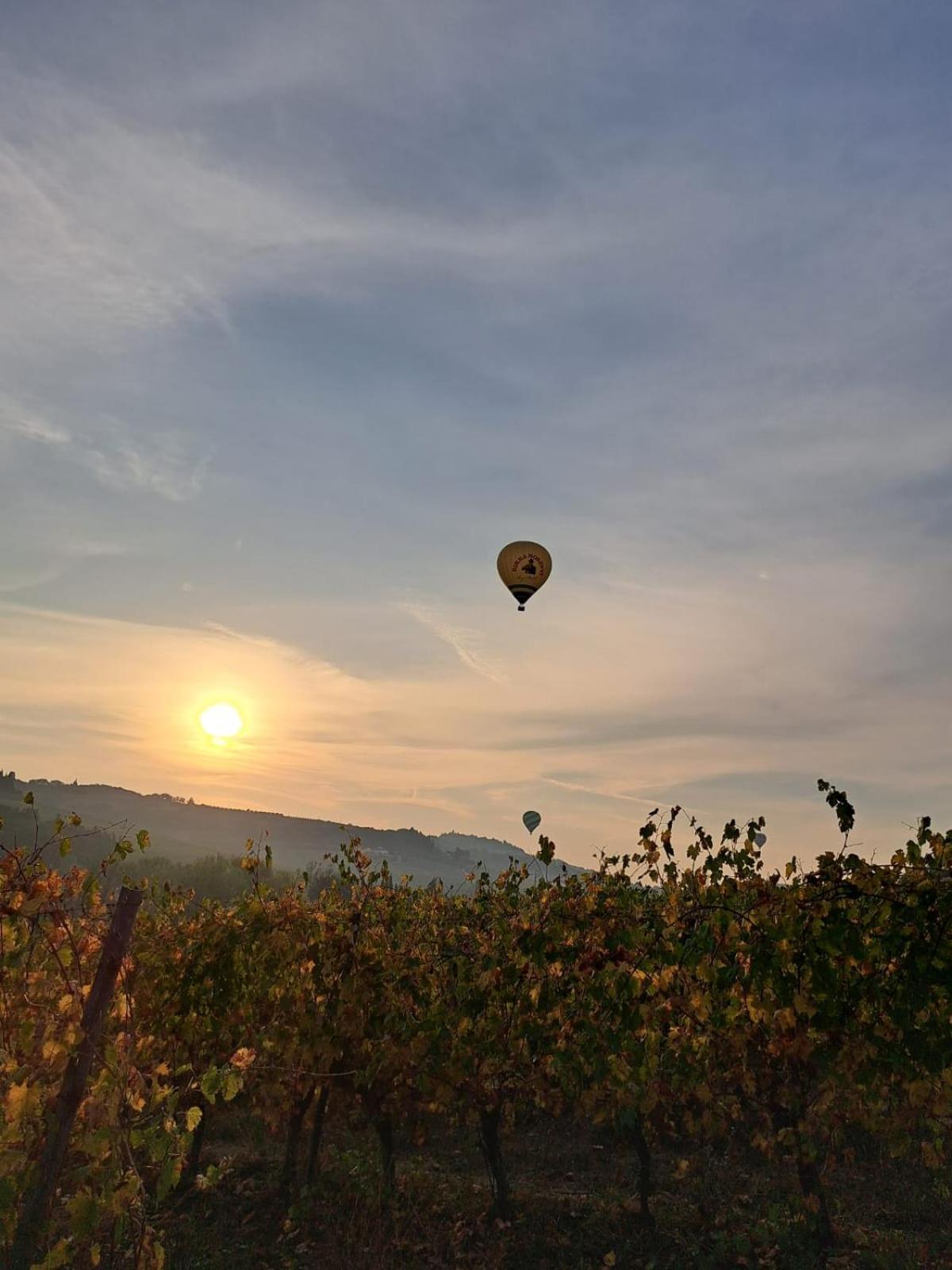 Podere Fichereto Tuscany Apartment In Florence Countryside 斯坎迪奇 外观 照片